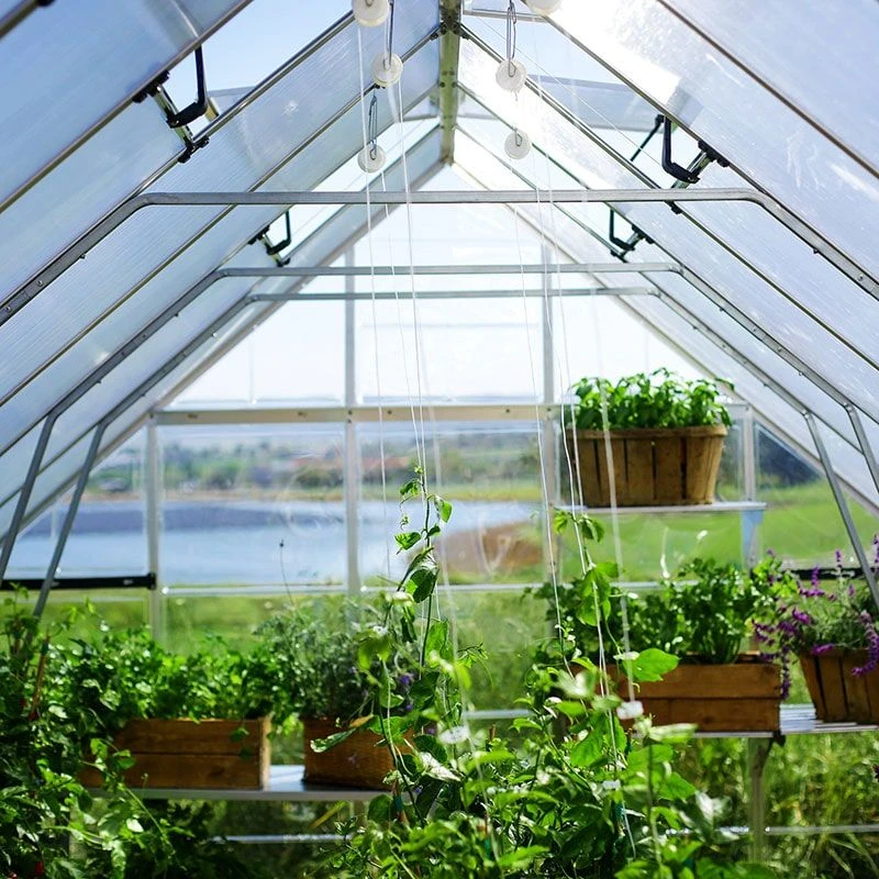 10' X 12' Palram Canopia Balance Silver Greenhouse (3.04m X 3.66m) 15 10' X 12' Palram Canopia Balance Silver Greenhouse (3.04m X 3.66m) - Image 15