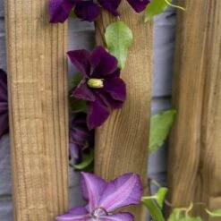 Forest 6' X 1' Pressure Treated Vertical Slatted Garden Screen Panel (1.8m X 0.3m) -Halls || Lifetime || Keter Sales 5 vslatts1 closeup min