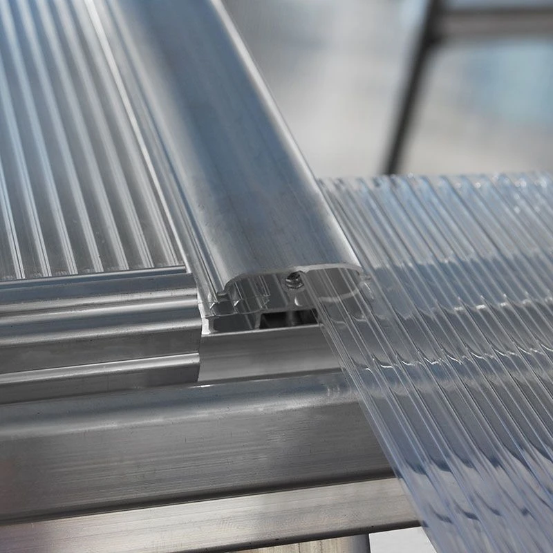 6'x14' Palram Canopia Hybrid Large Walk In Silver Polycarbonate Greenhouse (1.8x4.2m) 2 6'x14' Palram Canopia Hybrid Large Walk In Silver Polycarbonate Greenhouse (1.8x4.2m) - Image 2