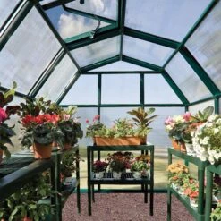 6'x6' Palram Canopia Rion EcoGrow Small Green Polycarbonate Greenhouse (1.8x1.8m) -Halls || Lifetime || Keter Sales 702521 04