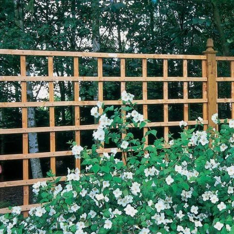 Forest 6' X 4' Heavy Duty Square Garden Trellis Fence Panel (1.83m X 1.22m) 1 Forest 6' X 4' Heavy Duty Square Garden Trellis Fence Panel (1.83m X 1.22m)