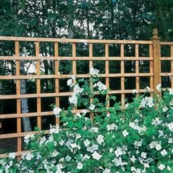 Forest 6' X 6' Heavy Duty Square Garden Trellis Fence Panel (1.83m X 1.83m)