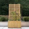 2'11 X 1'3 Forest Wooden Garden Living Wall Planter (0.9m X 0.39m)