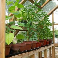 8'x6' Forest Vale Victorian Wooden Greenhouse (2.4x1.8m) - Installation Included -Halls || Lifetime || Keter Sales m8x6ghin3 min