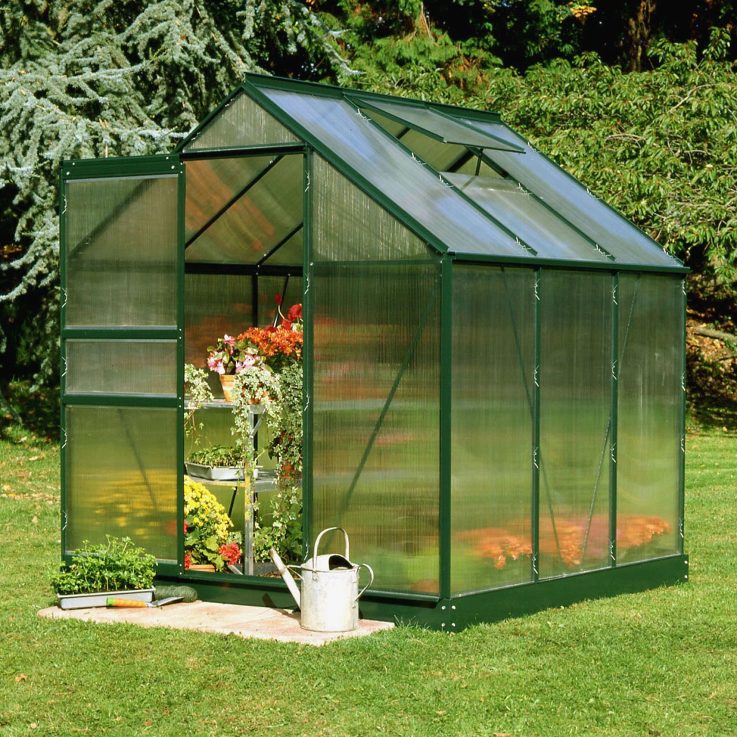 Halls 6x6 Green Frame Polycarbonate Greenhouse 1 Halls 6x6 Green Frame Polycarbonate Greenhouse
