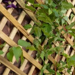 2'7 X 1'4 Forest Trellis Wooden Garden Planter (0.8m X 0.4m) -Halls || Lifetime || Keter Sales tpla 3